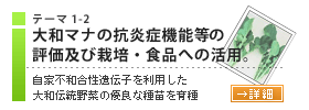 大和マナの抗炎症機能等の評価及び栽培。食品への活用