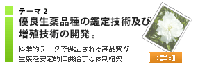 優良大和生薬品の鑑定技術及び増殖技術の開発